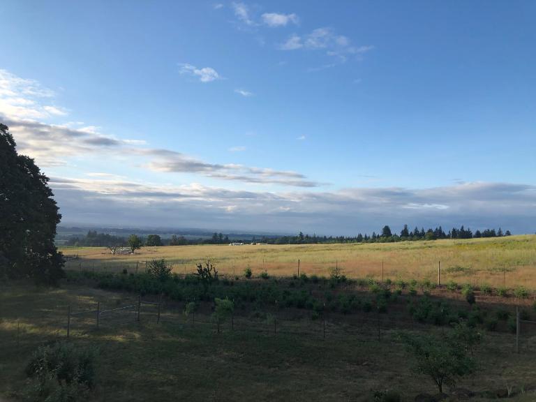 2 Bedroom Suite: Views, Private Entrance, EVchgr - B&B Amity
