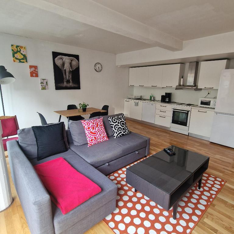 Serene 1 bedroom apartment Oslo - B&B Oslo