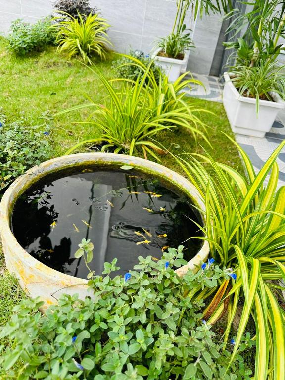 Minh Hiếu - Villa 3 rooms - B&B Phan Thiết
