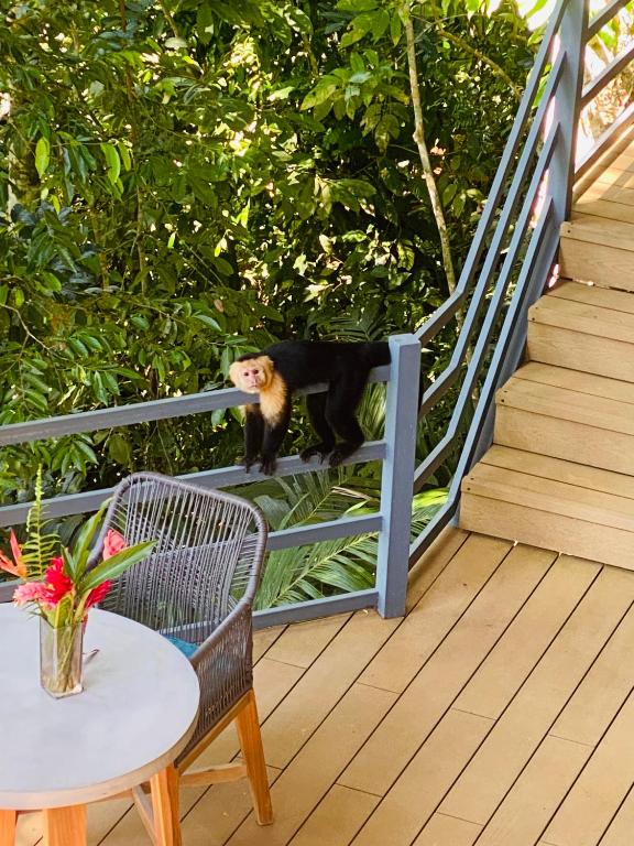 Villas en el Bosque - Ferienwohnung Ojochal