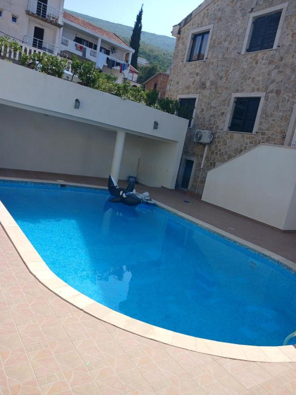 Apartman green home (pool) - Bed and Breakfast Radovići