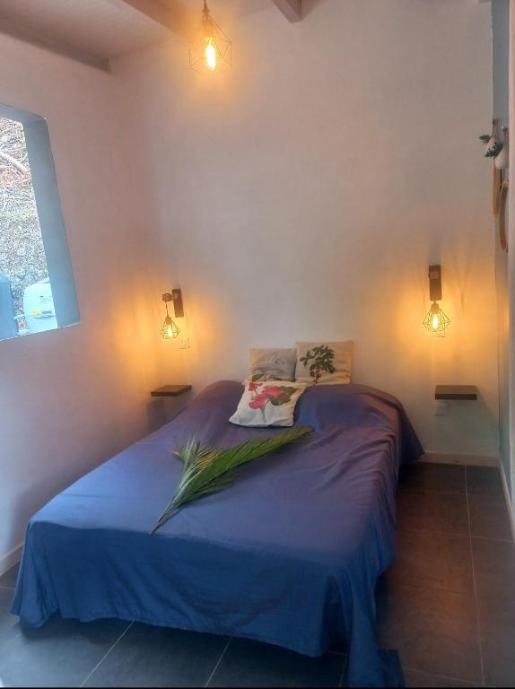 Tropi Kay' Location - Bungalow avec jacuzzi - B&B Le Diamant