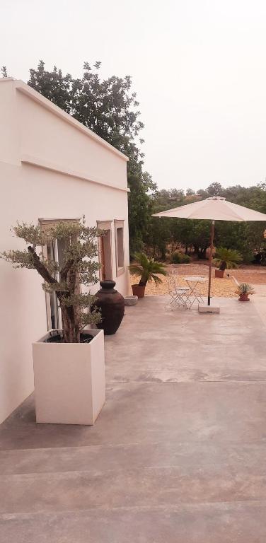Quinta das Pedras - Tavira - Bed and Breakfast Tavira