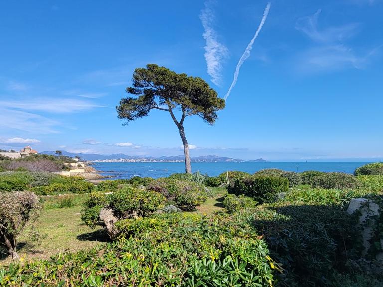 Le Serenity : mer, calme et tranquillité - B&B Saint-Aygulf