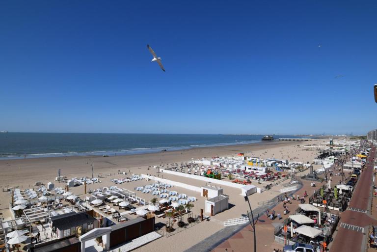 Seaview Studio - B&B Blankenberge