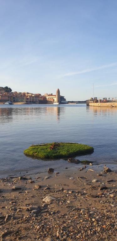 Studio du pêcheur - Bed and Breakfast Collioure