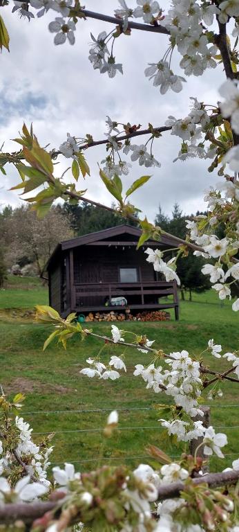 Chata na samotě, Šumava - B&B Vrhaveč