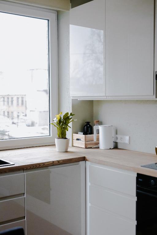 Vintage apartment Ranne - B&B Riga