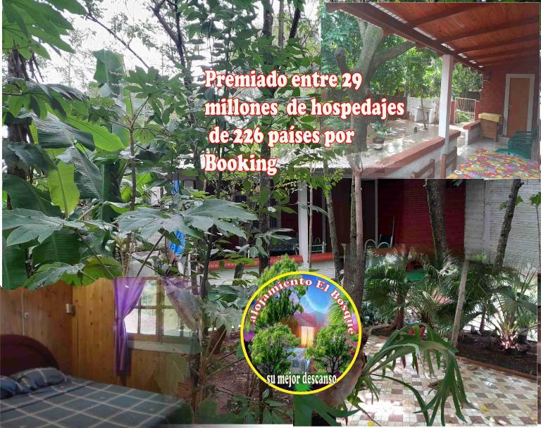 Alojamiento El Bosque - Chambres d'hôtes Cambyretá
