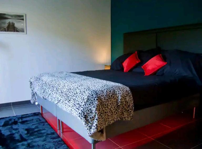 Studio Cosy, jardin privatif - B&B Genilac