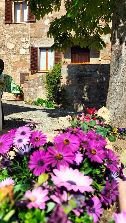 L'oca Nera - B&B Chiusi