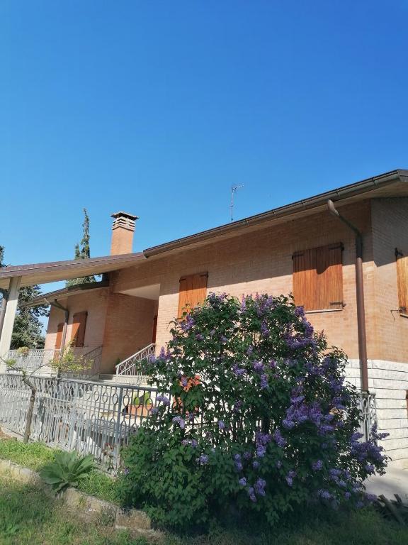 maria antonietta - B&B Urbino