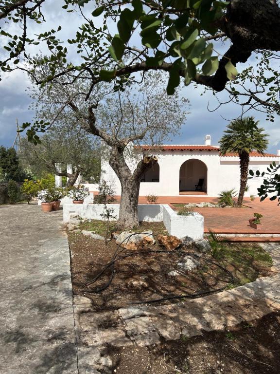 VILLA DE BELLIS VITTI - B&B Polignano a Mare
