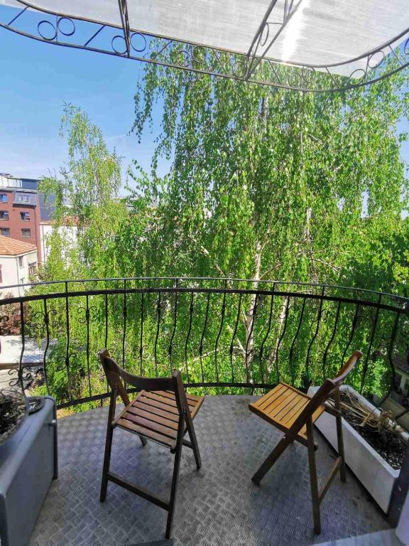 Beloved birch apartment - B&B Skopje