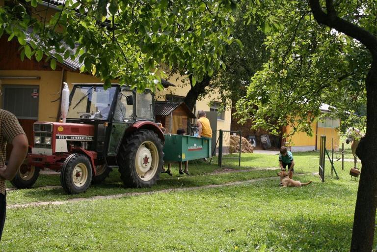 Bauernhof-Pension Puschnikhof - B&B Unternarrach