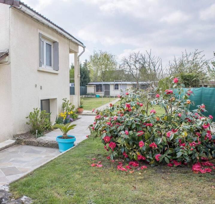 Le studio - B&B Béhoust