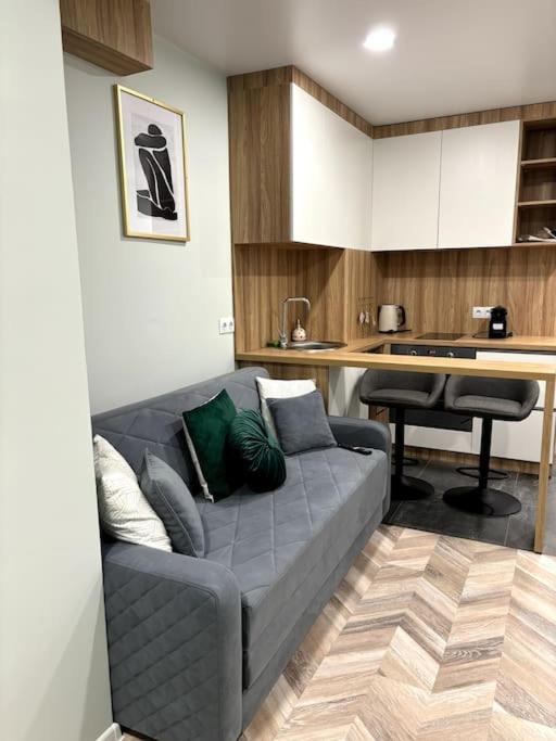 Central Park Apartment - B&B Chişinău