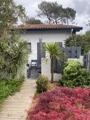 La Villa du Grand Large - B&B Biscarrosse