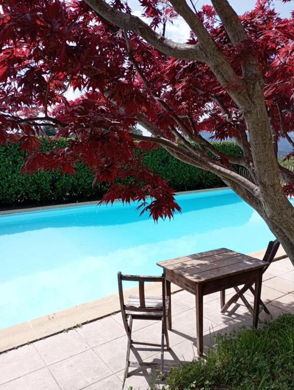Chambre d'Hôte dans MAS proche Anduze Cévennes avec piscine - B&B Mialet