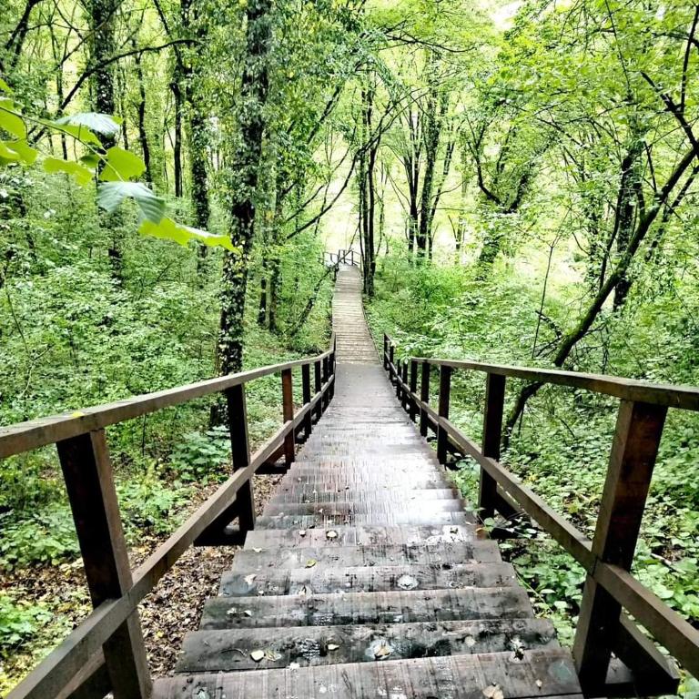 Kuća za odmor Suha gora - B&B Vrhovac