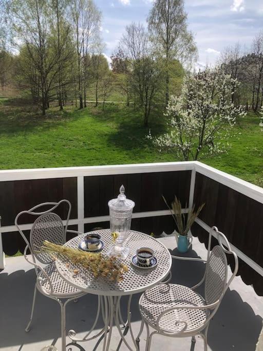 W Karkonoszach na Chacie jacuzzi, sauna, bilard, leśny park - Ferienwohnung Wojcieszyce
