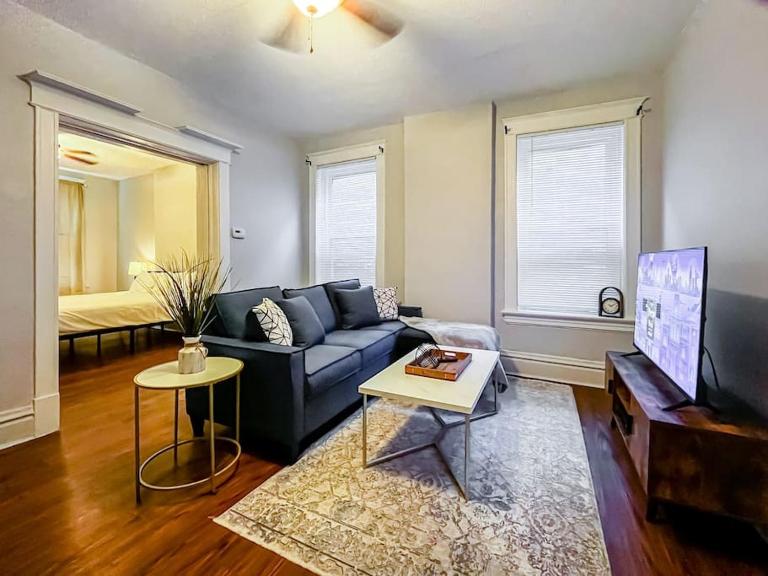 Urban 1BR Nurse's Retreat Barnes & Children's - B&B Tower Grove