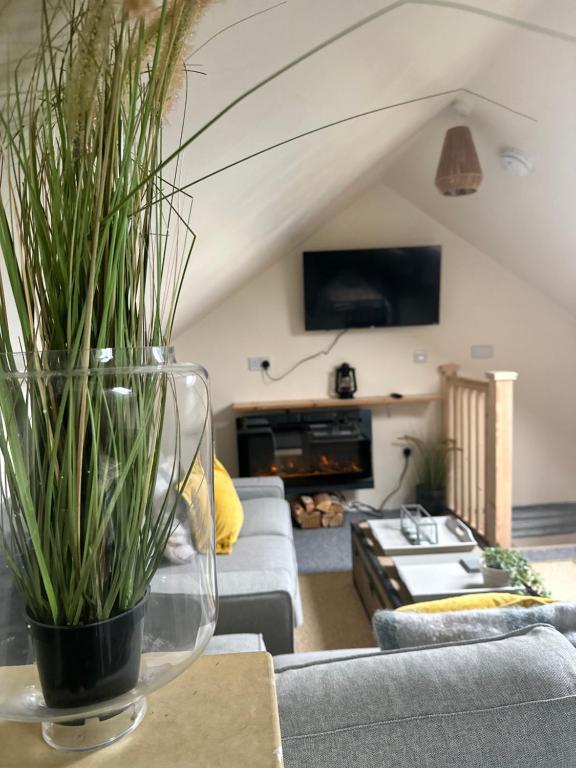 Shepherds Hut - B&B Much Birch