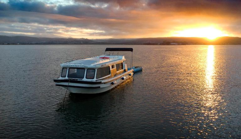 Knysna Houseboats - Chambres d'hôtes Knysna
