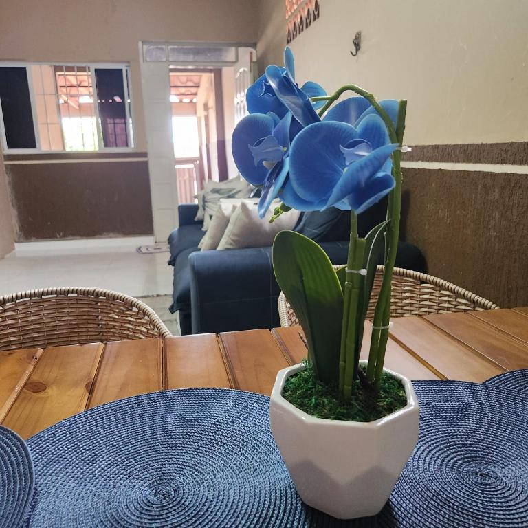 Pousada Castelo - B&B Rio Branco