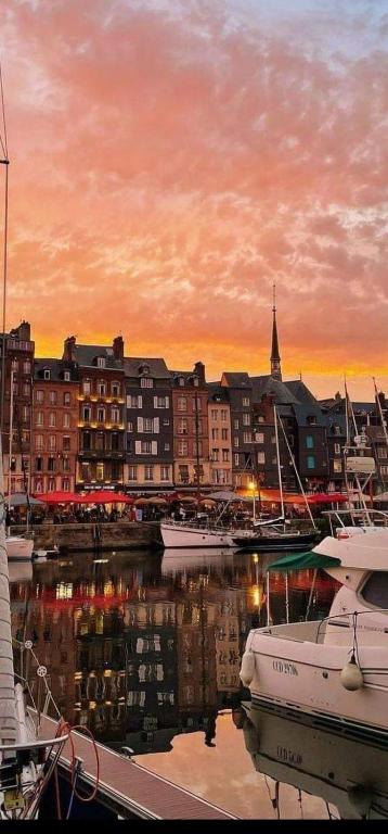 Le Petit Honfleur - Bed and Breakfast Honfleur