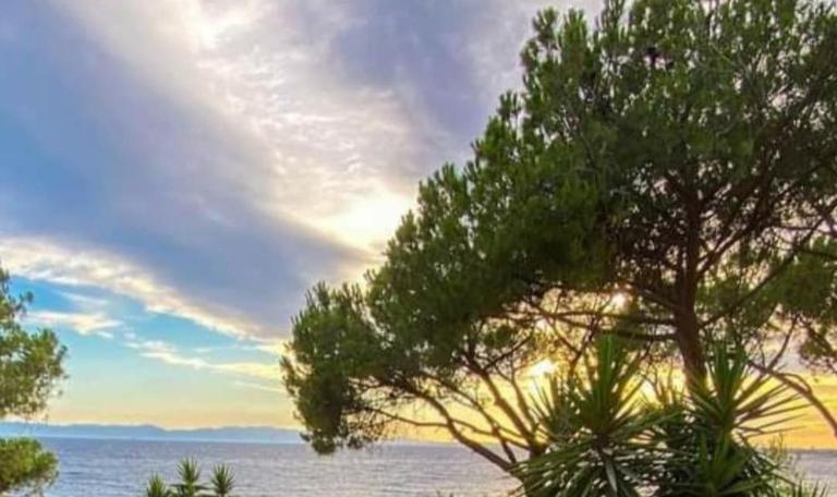 Sun Sea house - B&B Cagliari