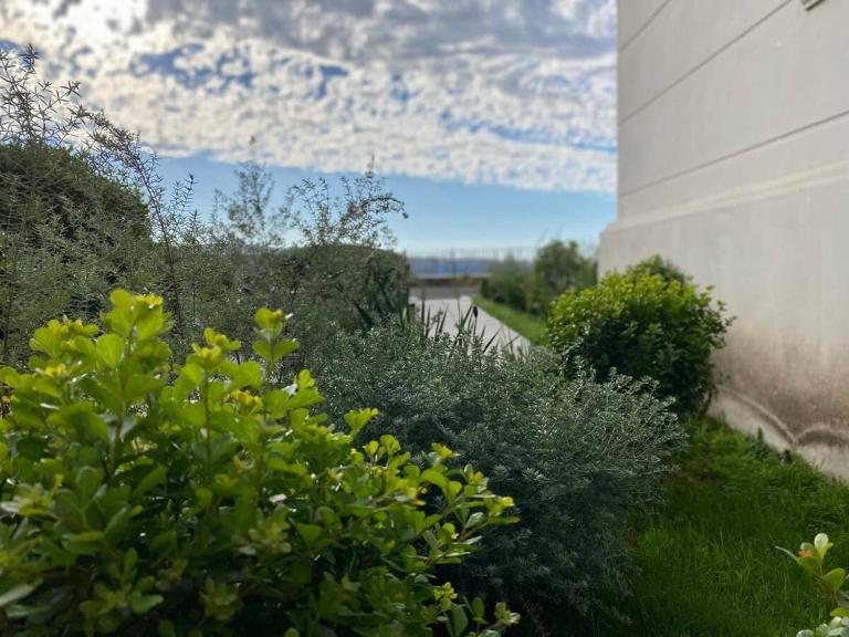 HOM I Loft Jardín I Mirador Baron I Parking I Piscina - Chambres d'hôtes Valparaiso