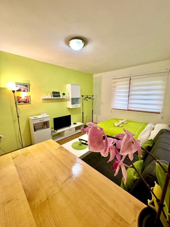 Apartman Lola - B&B Visegrad