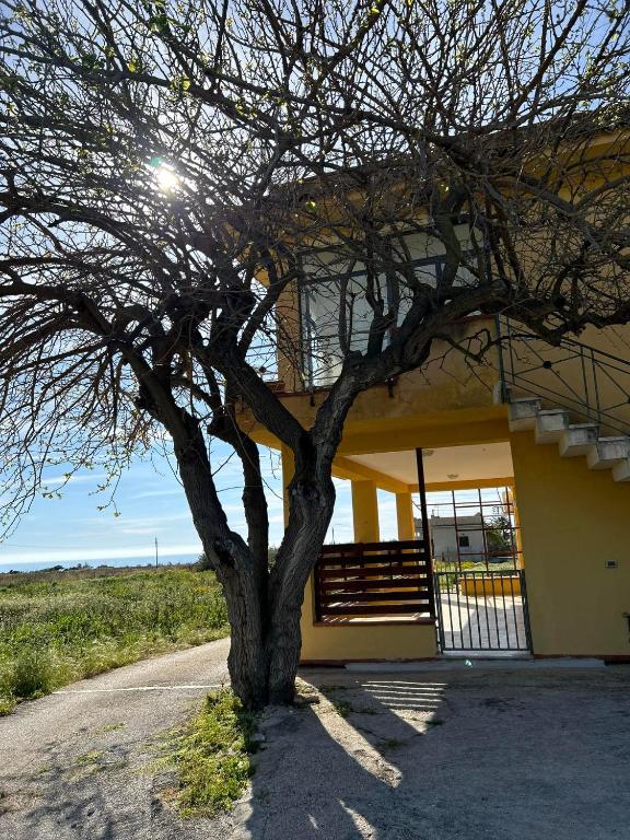 Casa Mangiaracina - B&B Porto Palo