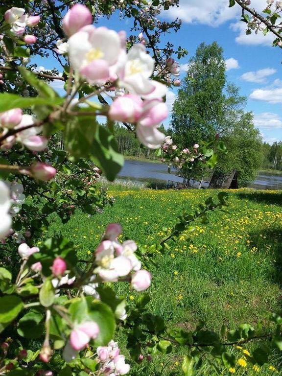 Līgatnes Zemturi - B&B Augšlīgatne