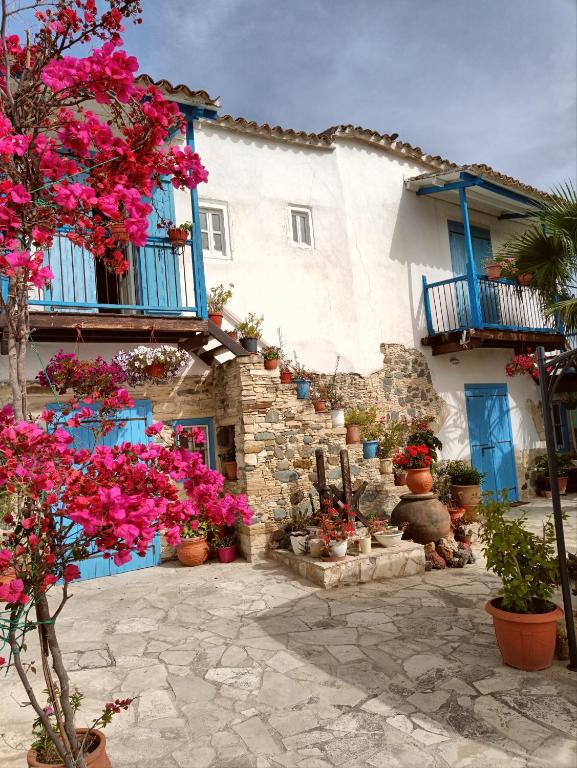 Traditional House in Pera - B&B Péra