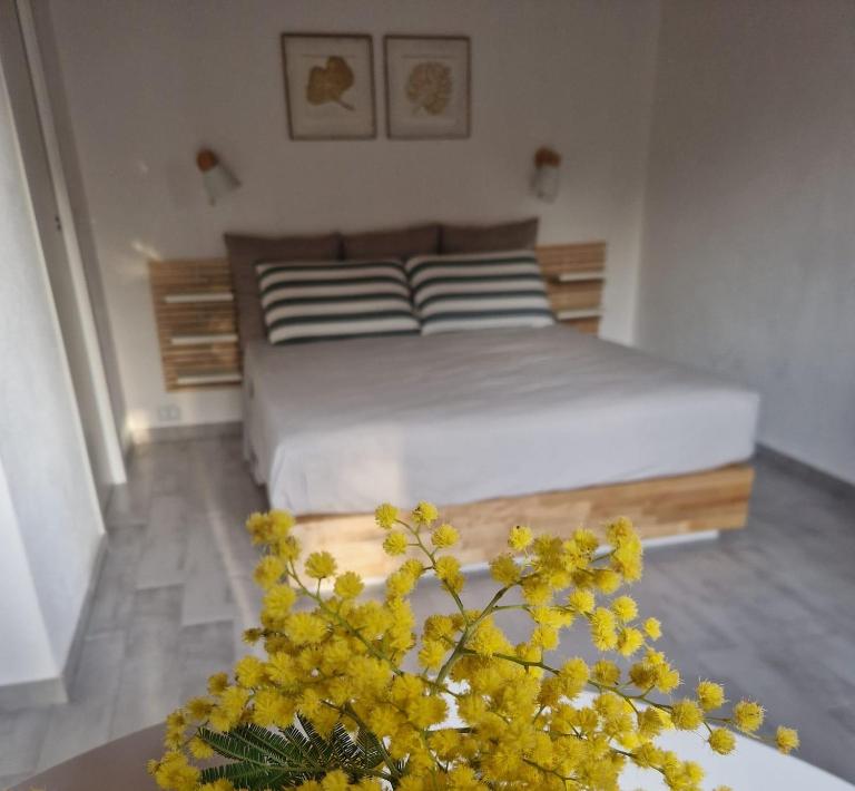 Dar Pietru - B&B Noto