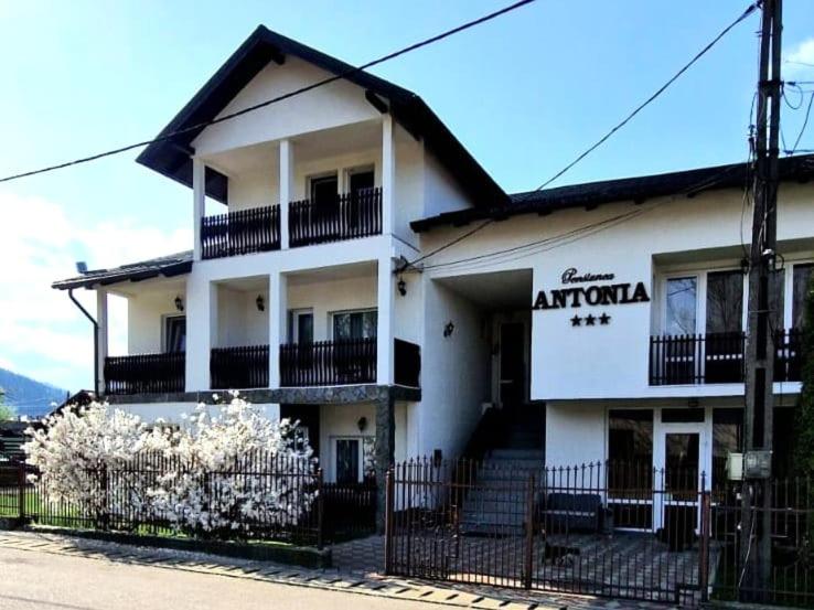 Pensiunea Antonia - B&B Vatra Dornei