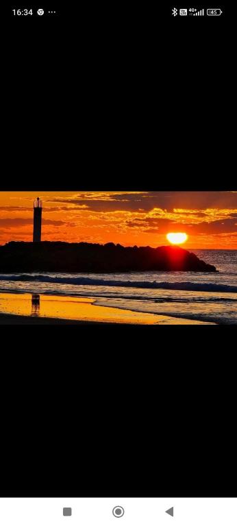 studio au cap d'agde dans les pinèdes - B&B Le Cap d'Agde