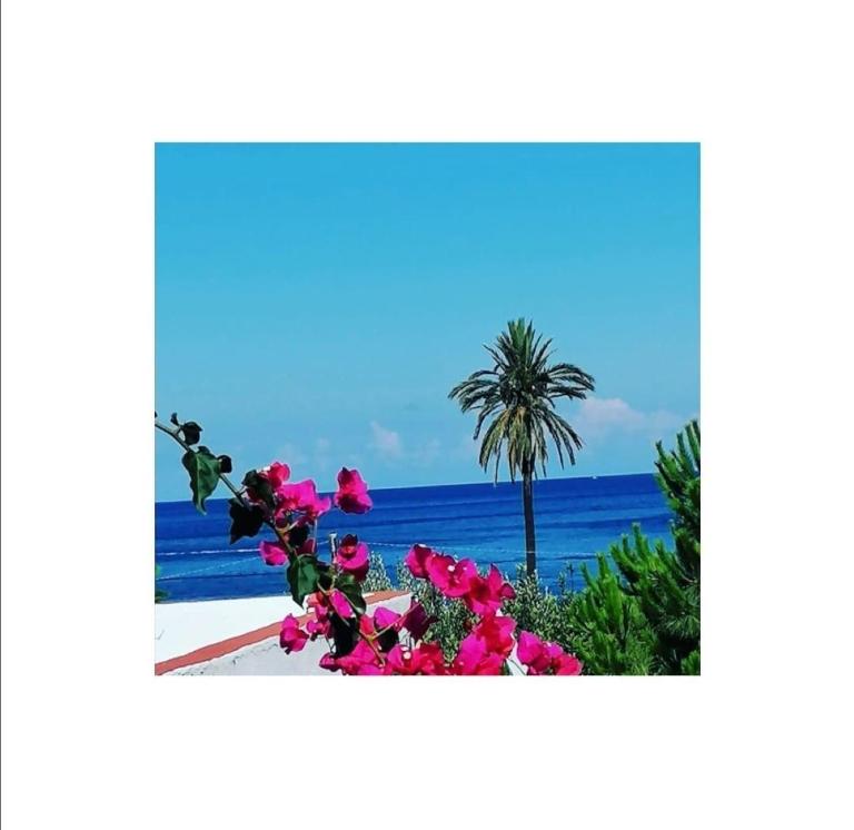 Villino Miraglia - B&B Lingua