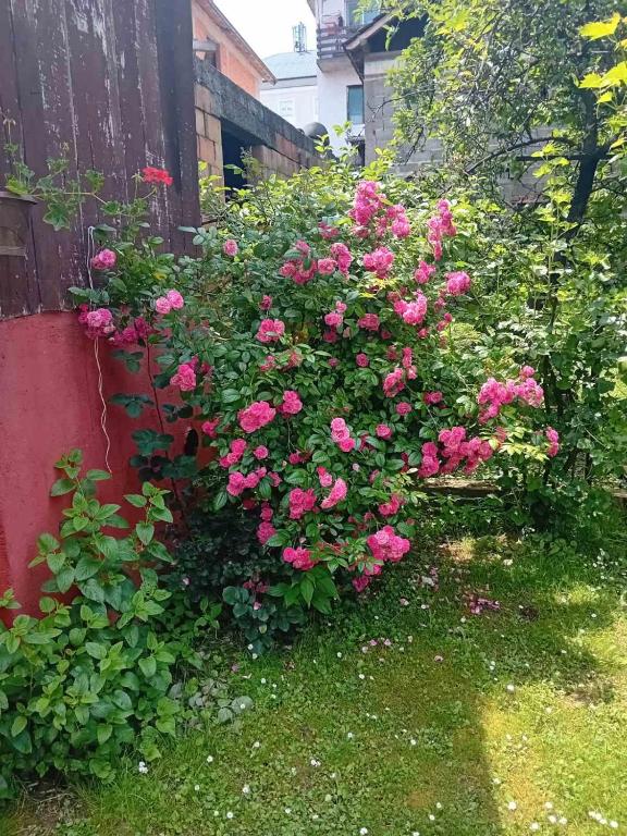 Smeštaj Vesna - Ferienwohnung Bajina Bašta