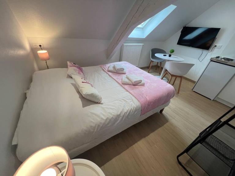 Esprit France, joli studio au coeur de Mulhouse - Bed and Breakfast Mulhouse