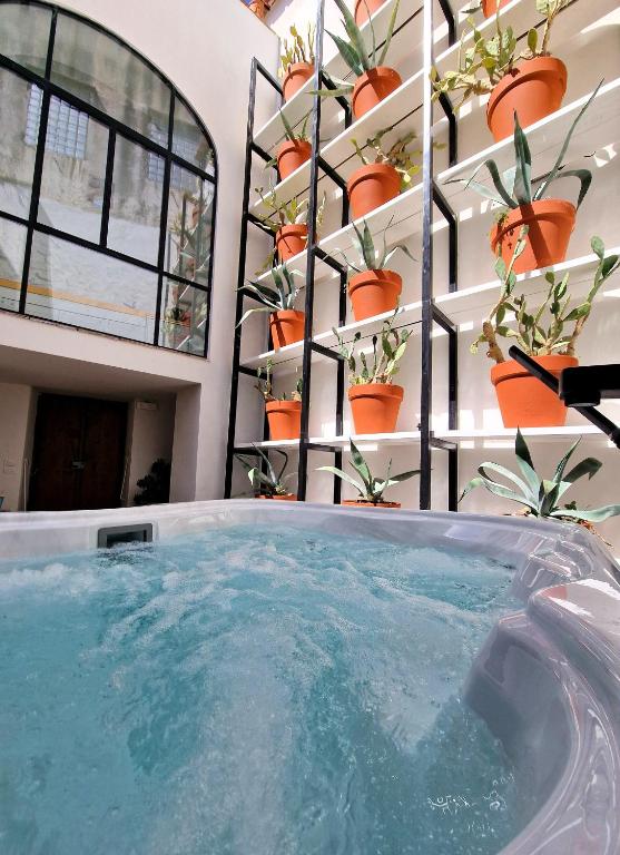 Capri Kronos Design Suites - 2 king beds, with gym, SPA & jacuzzi - B&B Anacapri