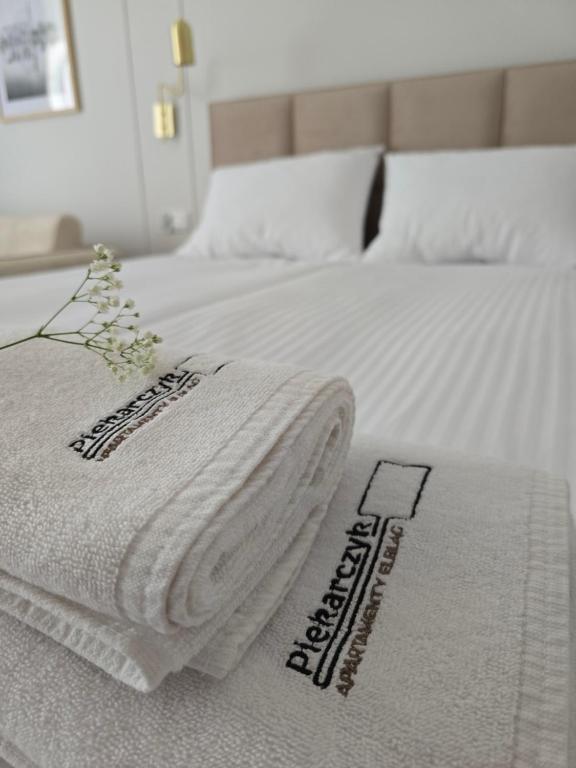 Apartamenty Piekarczyk - OLD TOWN Elbląg - No Air Conditioning - B&B Elblag