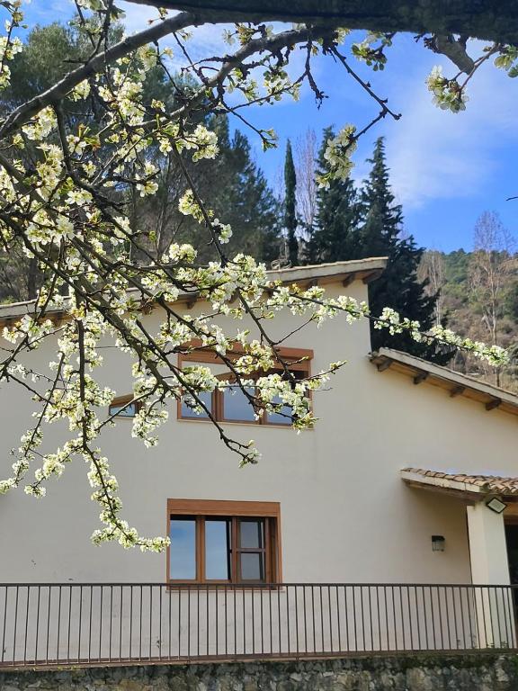 CASA MONTEPINAR - Chambres d'hôtes Cazorla