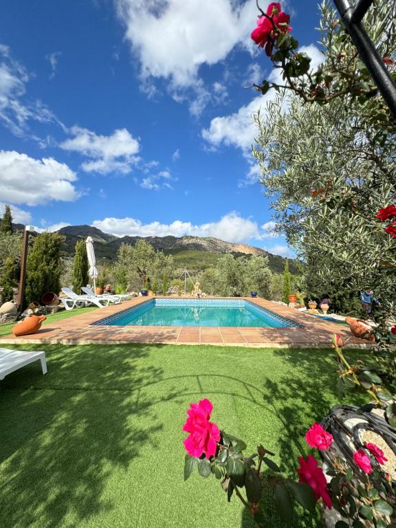 Villa El Pedregal - Parque Sierra de las Nieves - B&B Yunquera