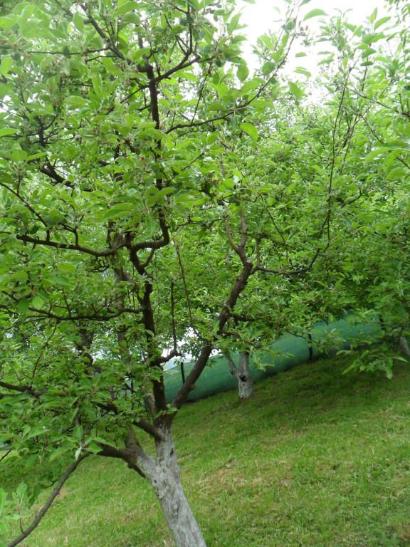 Ravne Konak - B&B Visoko