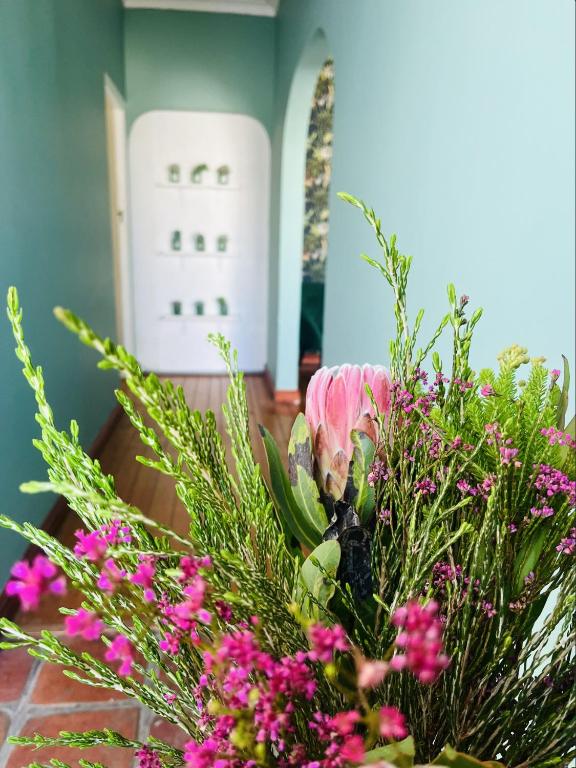Rondebosch Cottage - B&B Cape Town