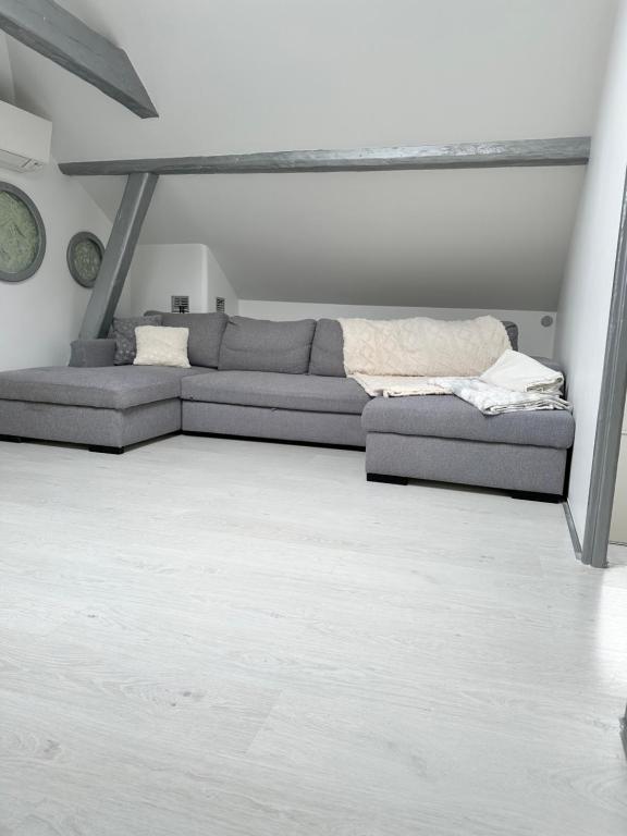 Sybelle appart - B&B Scionzier