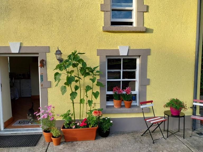 Felicity Cottage, W91 D1W3 - B&B Kiltegan